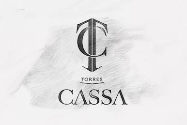 torres casah by think